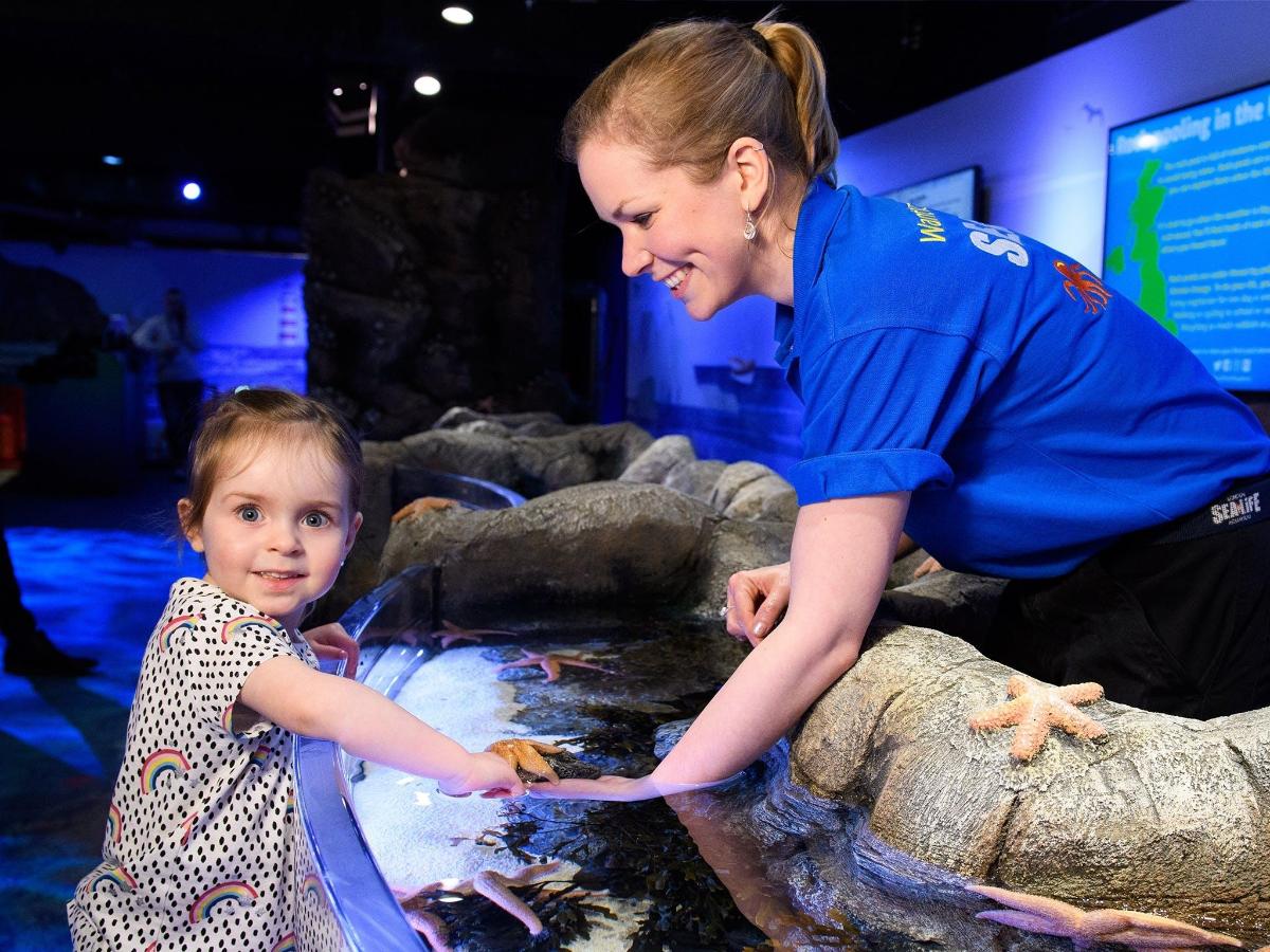 Admission to SEA LIFE London Aquarium