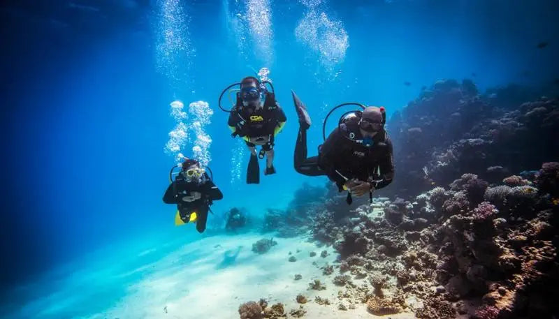 7 nights Hurghada all inclusive( The Oberoi Beach Resort)flights included