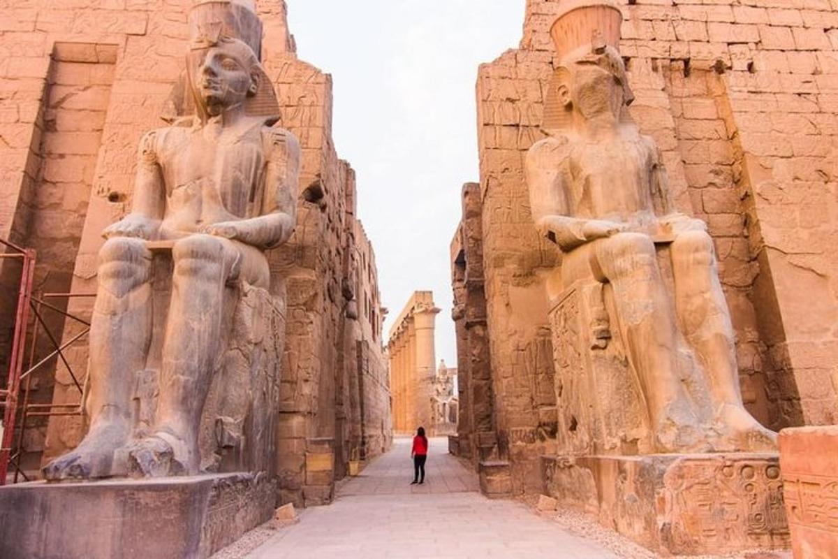 Day Tour: East and West Banks of Luxor