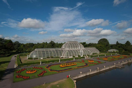 Kew Gardens Ticket