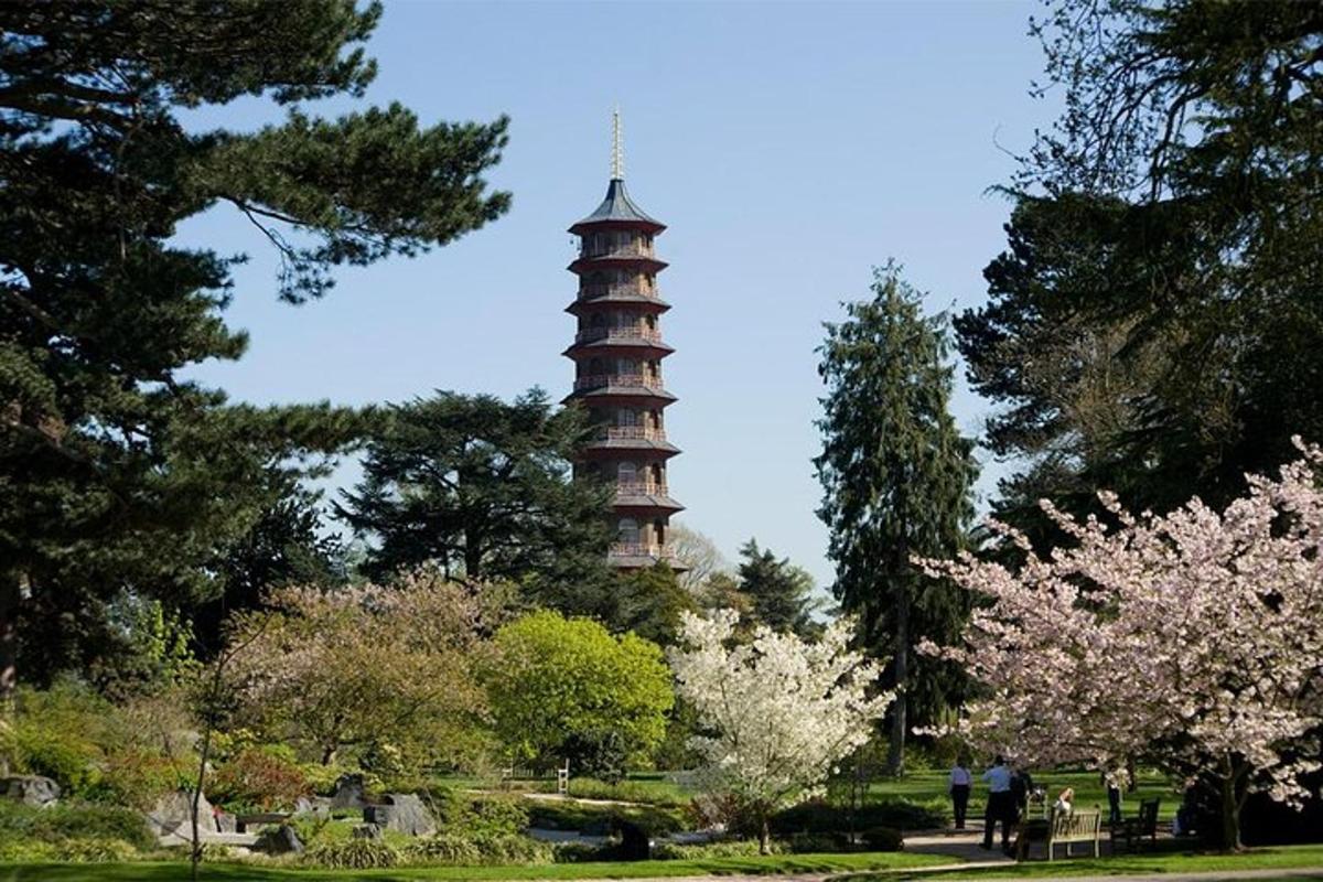 Kew Gardens Ticket