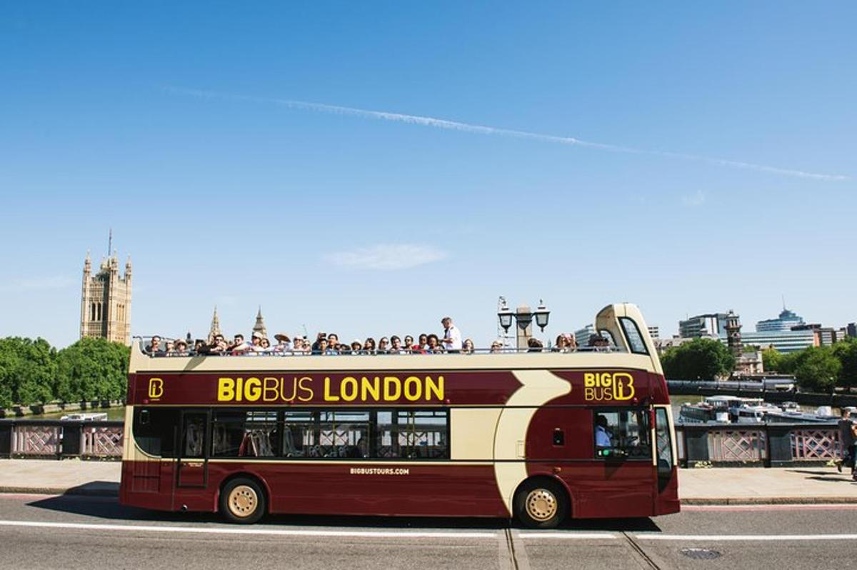 Big Bus London Hop-On Hop-Off Tour and River Cruise