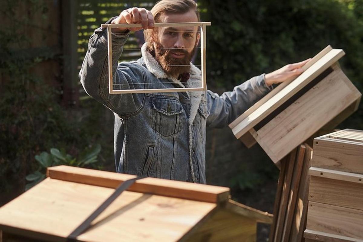 Discover active beehives in London