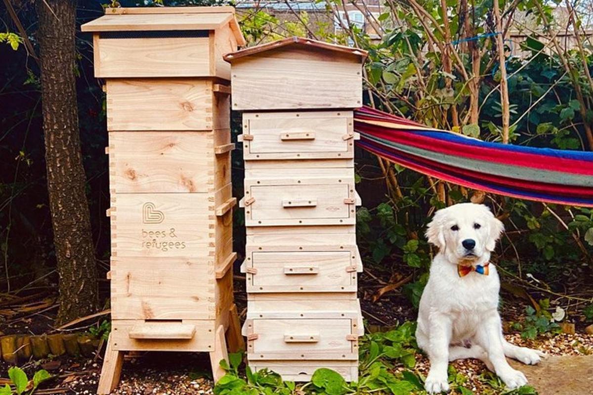 Discover active beehives in London