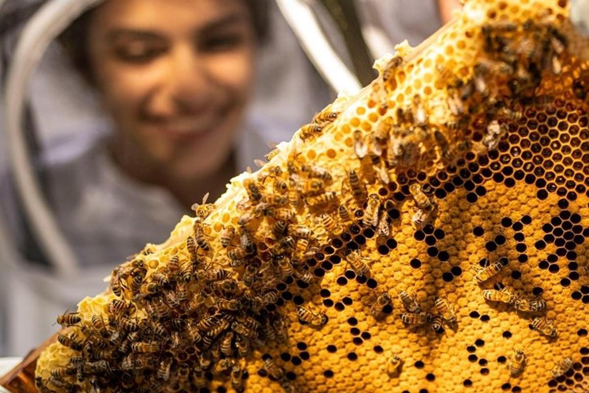 Discover active beehives in London