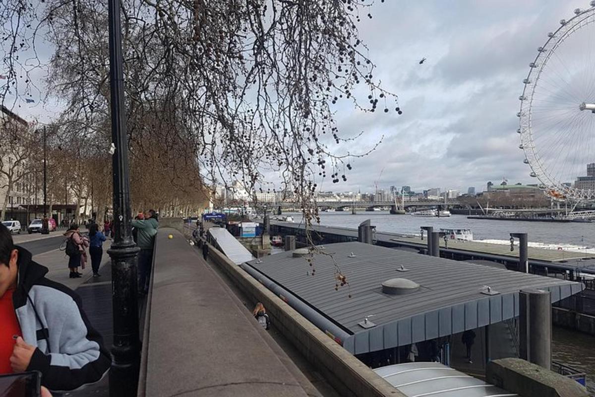 Private London Panoramic by Car with pick up from your Hotel