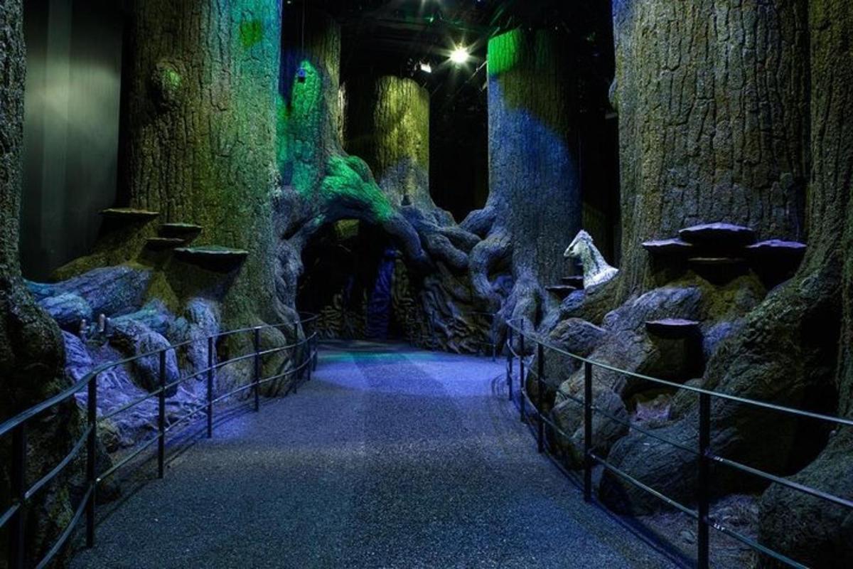 Warner Bros. Studio London, Harry Potter Tour