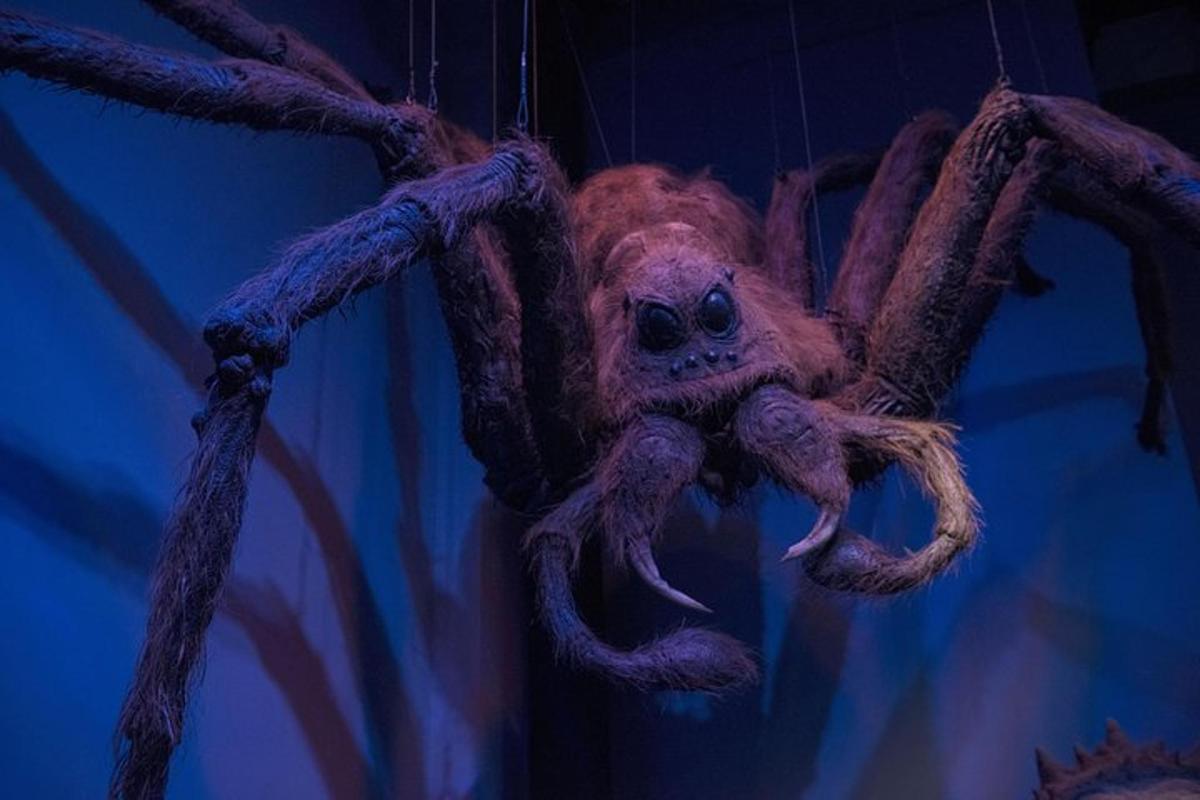 Warner Bros. Studio London, Harry Potter Tour