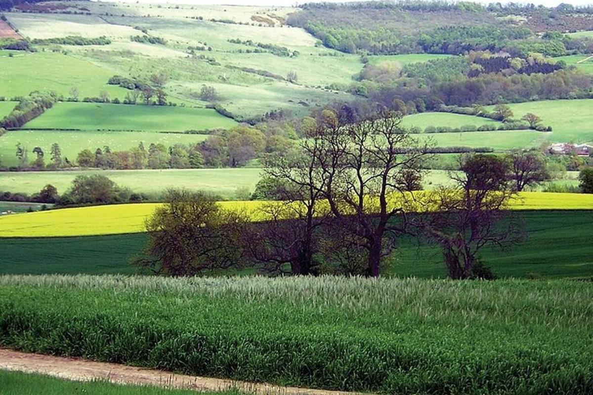 The Cotswolds and Blenheim Palace