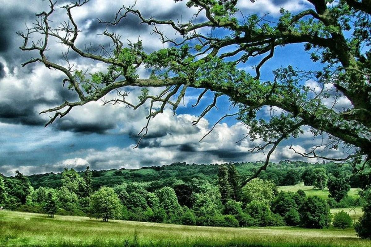 KENT, Garden of England in Executive Luxury Vehicle Private Tour