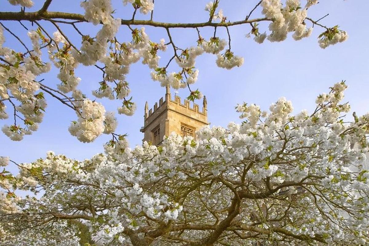 Cotswolds Small Group Tour from London