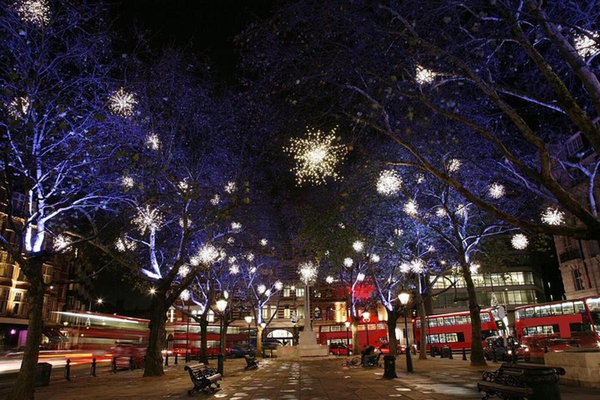Christmas Lights Tour