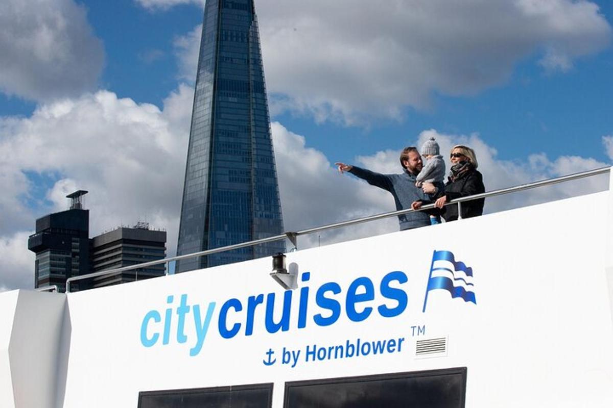 River Thames Sightseeing Cruise