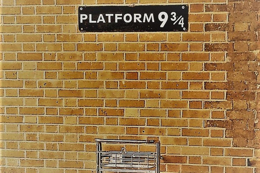 Harry Potter in London Private Taxi Tour