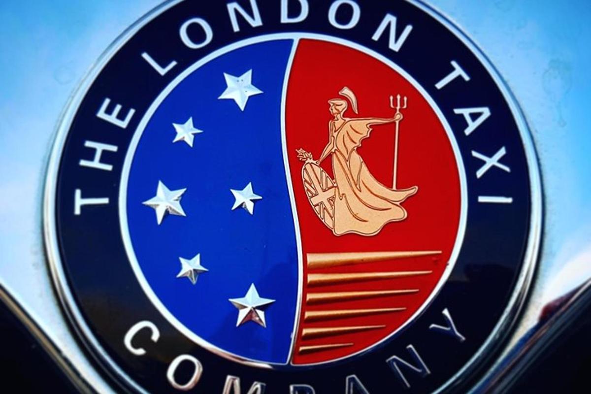 London Taxi Tour - Private Tour Guide  Narration In A London Cab