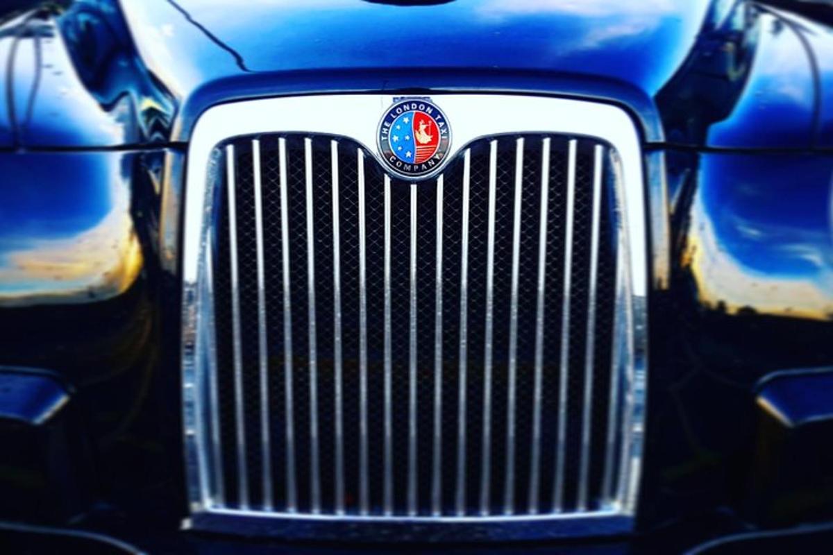 London Taxi Tour - Private Tour Guide  Narration In A London Cab