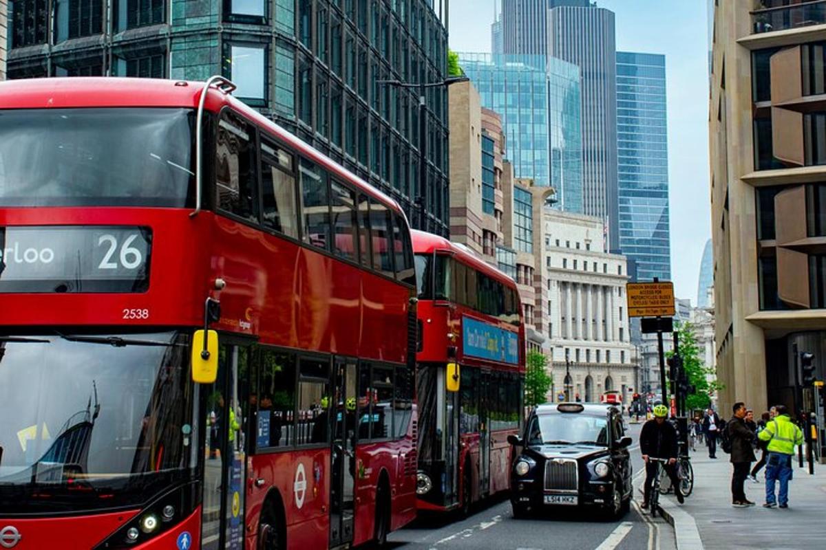 Half-Day Custom London Tour with Local Guide