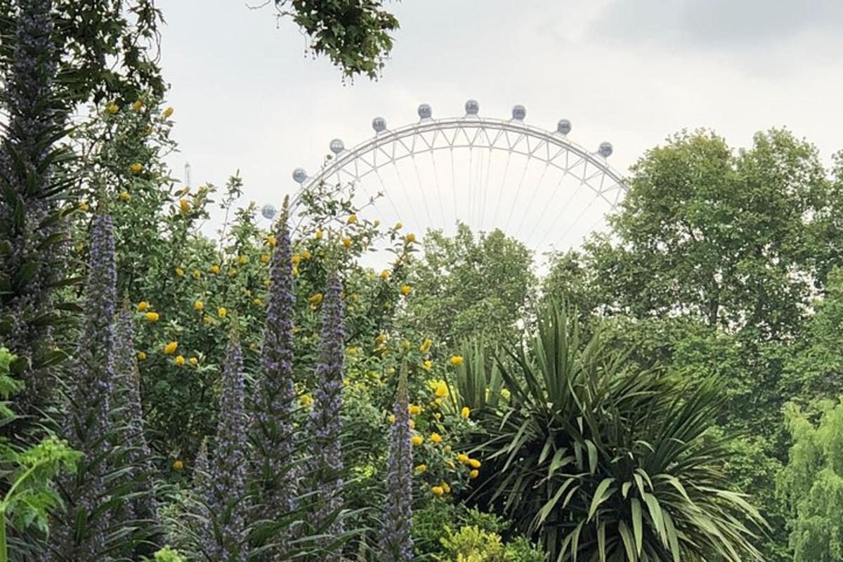London Highlights and Windsor Castle