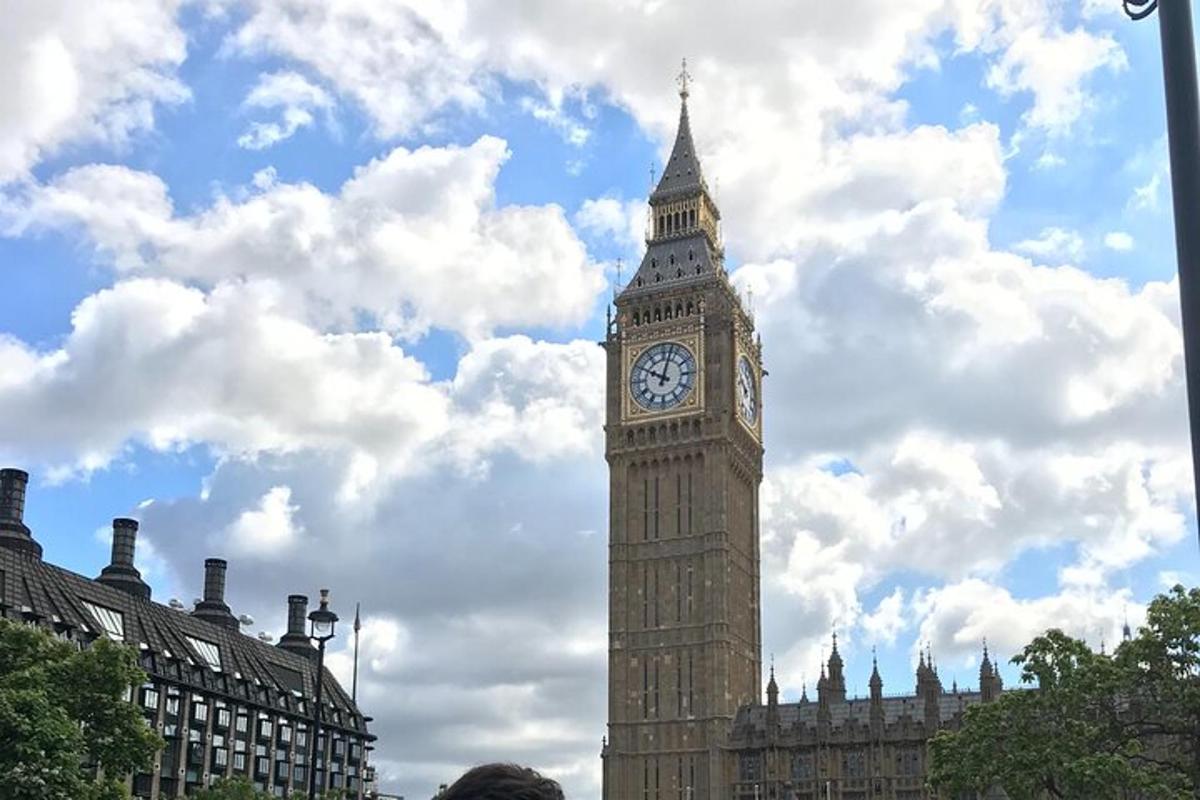Private London Tours by experienced guide in hybrid London Taxi