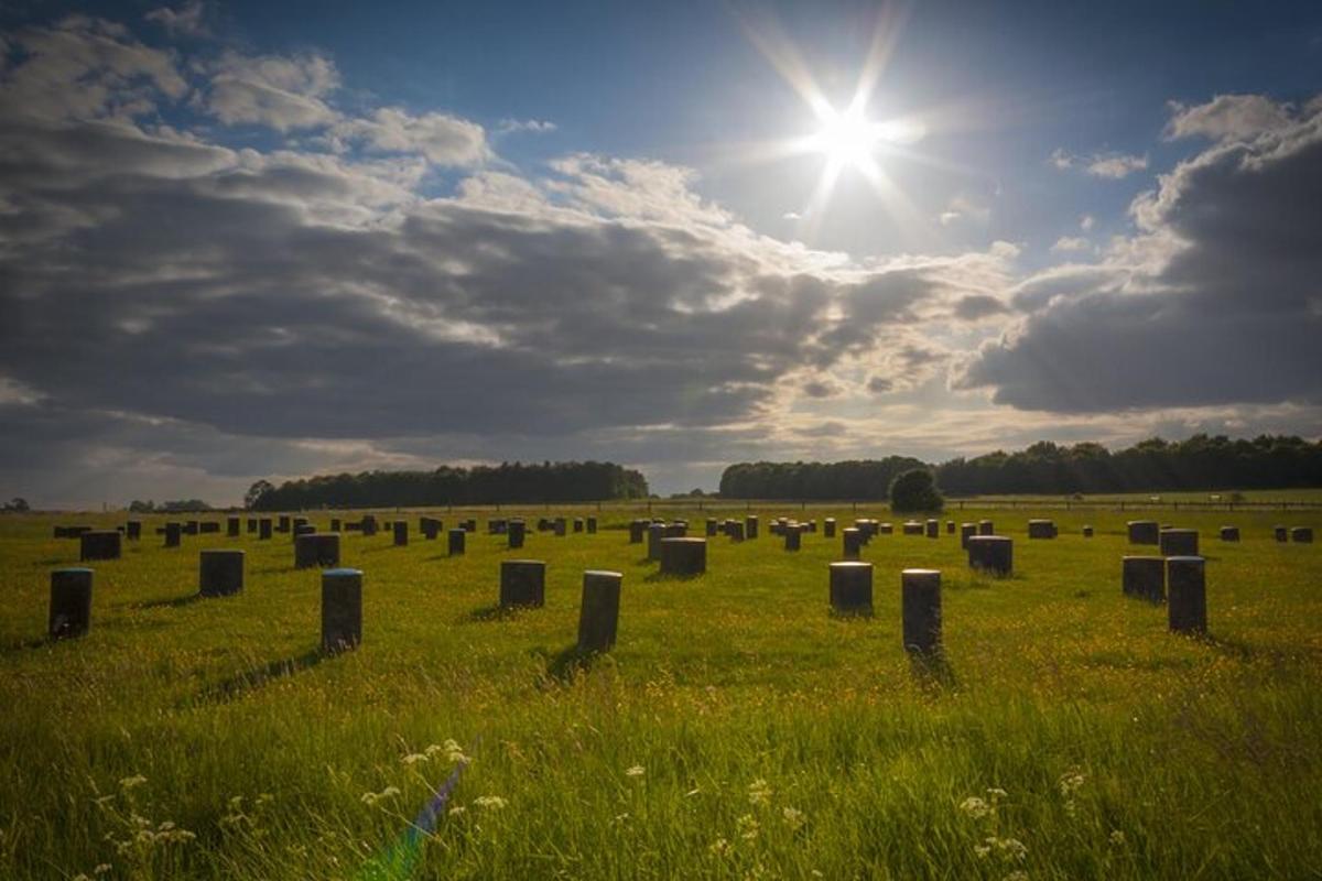 Private Stonehenge, Woodhenge, Avebury Stone Circle from London