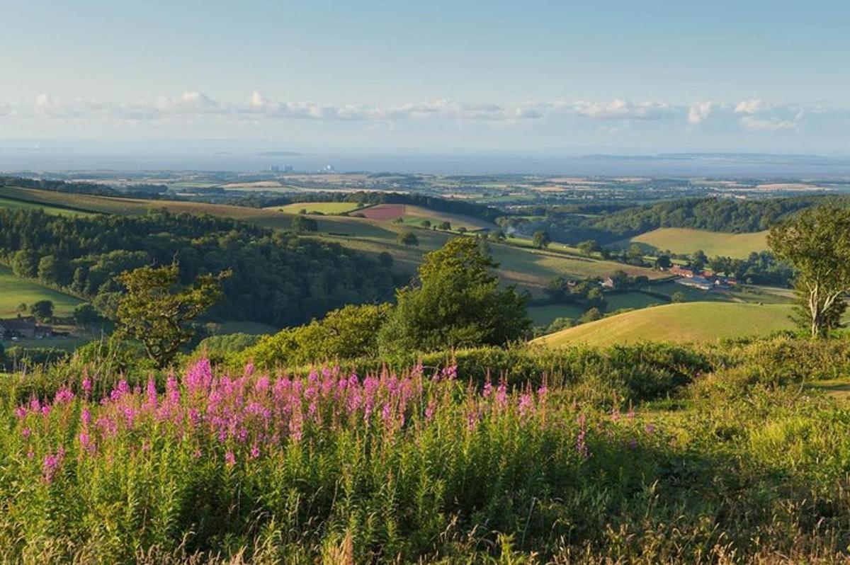 Canterbury & the White Cliffs of Dover Tour (Small-Group)