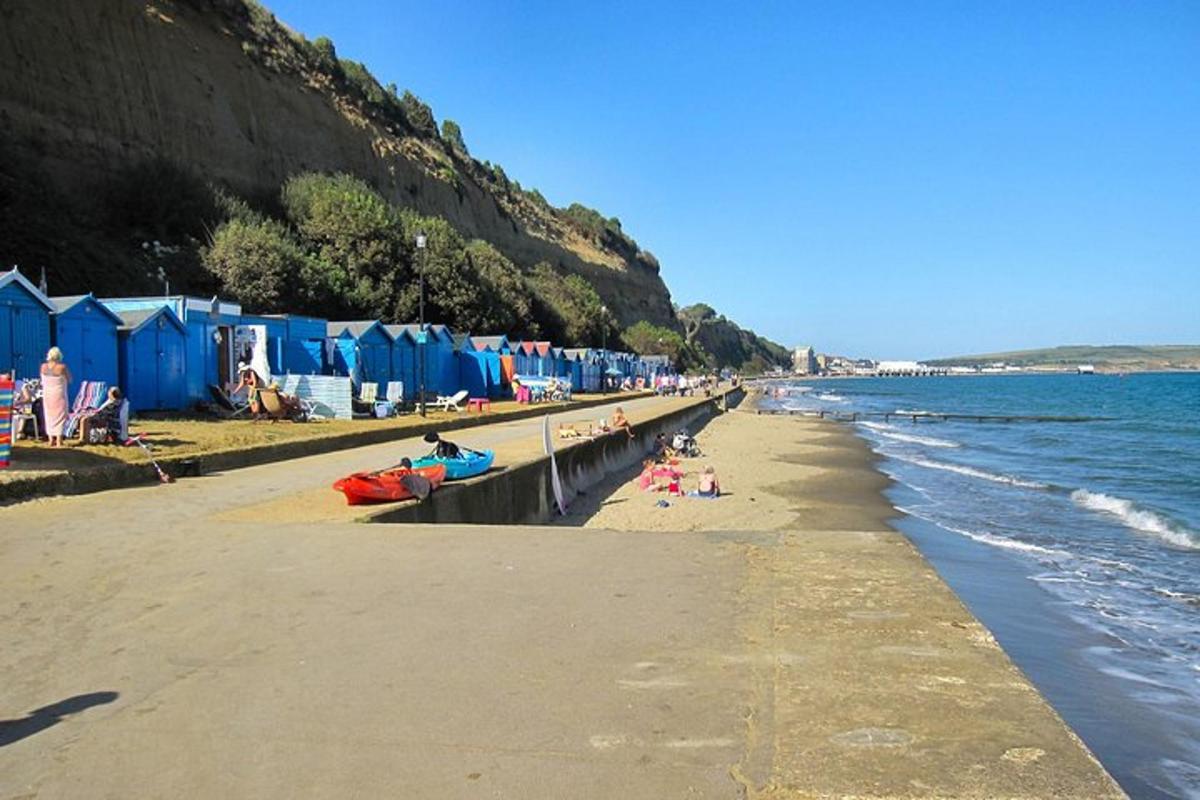 Isle of Wight Full-Day Private Tour from London