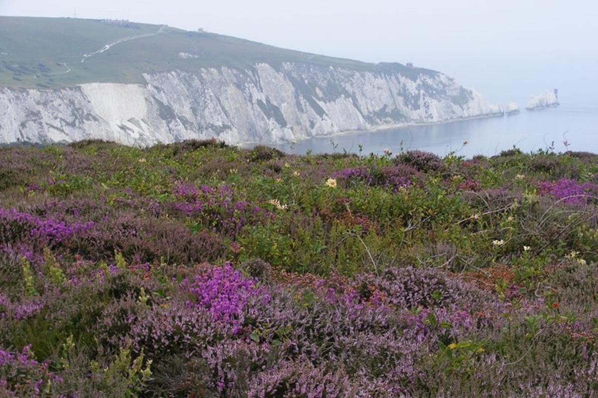Isle of Wight Full-Day Private Tour from London