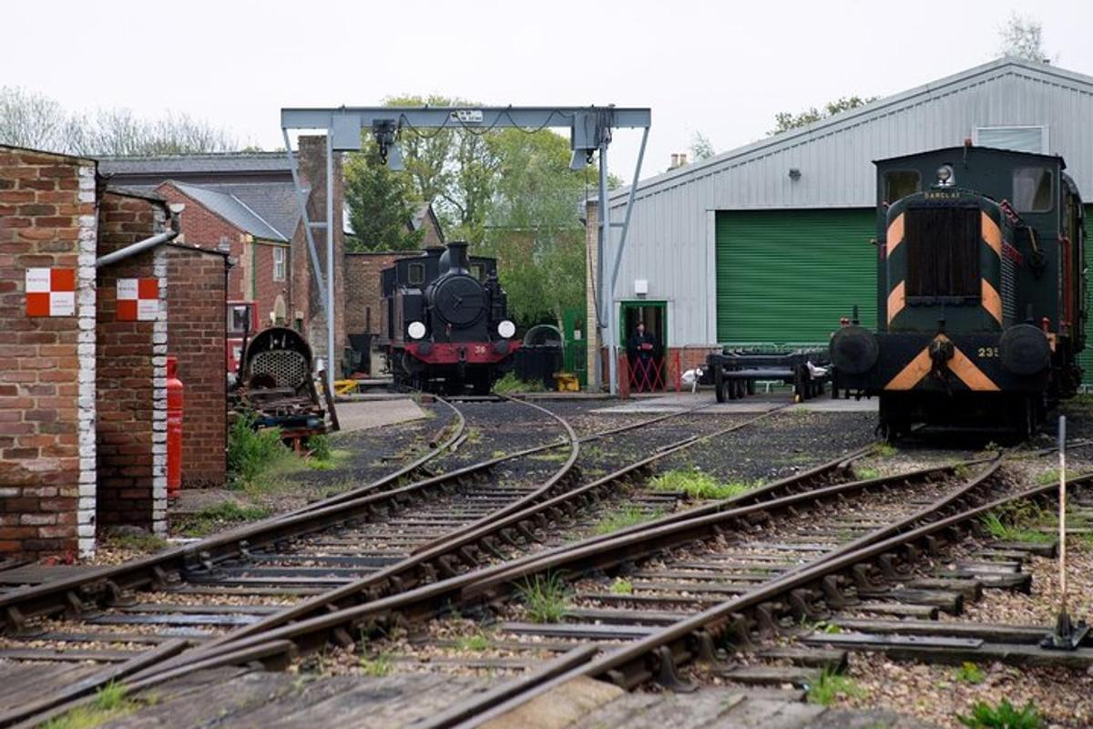 Isle of Wight Full-Day Private Tour from London