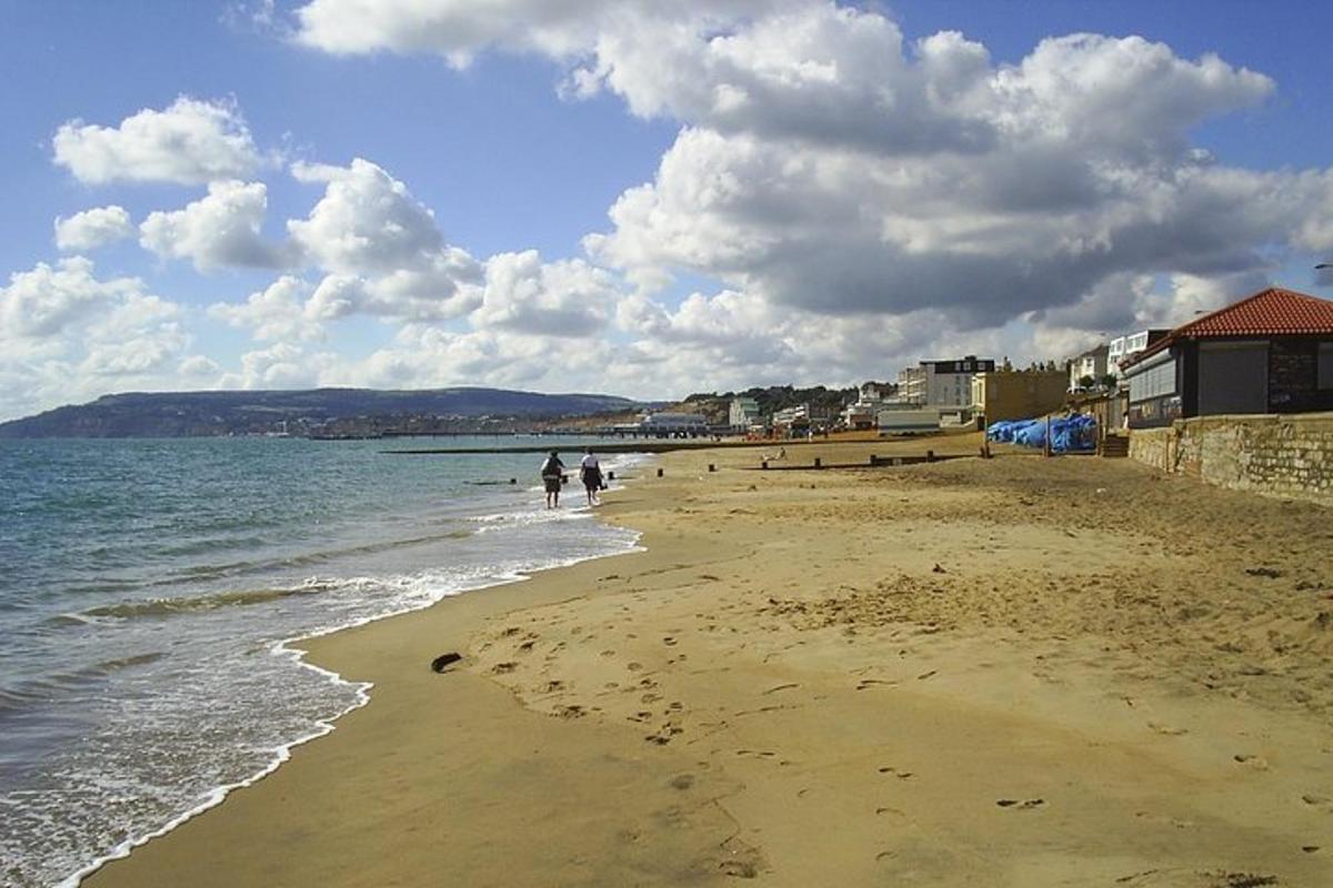 Isle of Wight Full-Day Private Tour from London