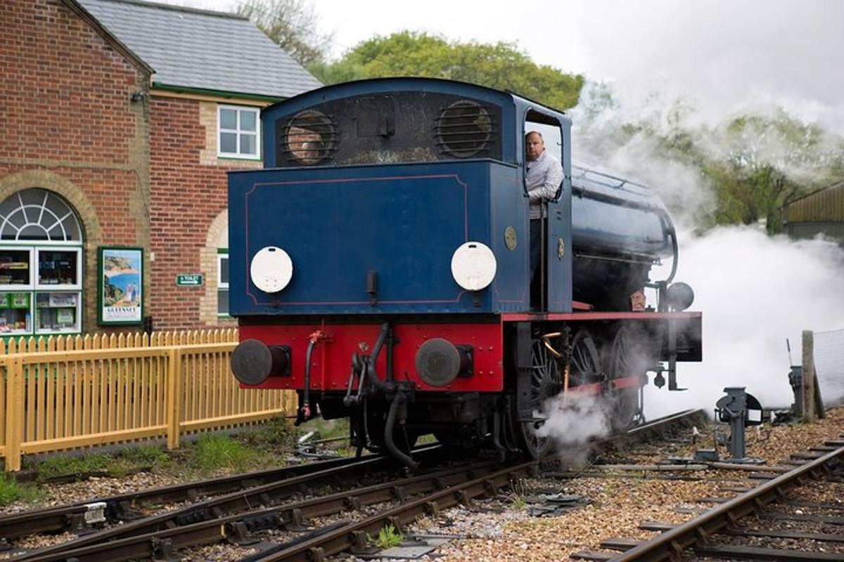 Isle of Wight Full-Day Private Tour from London