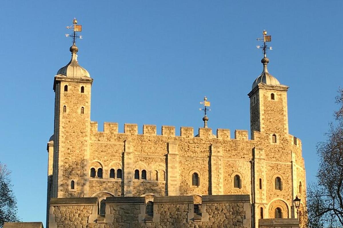 Ultimate Royal London Tower of London & City of Westminster Tour
