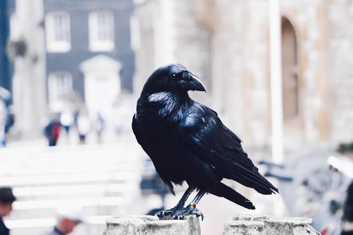 Ultimate Royal London Tower of London & City of Westminster Tour