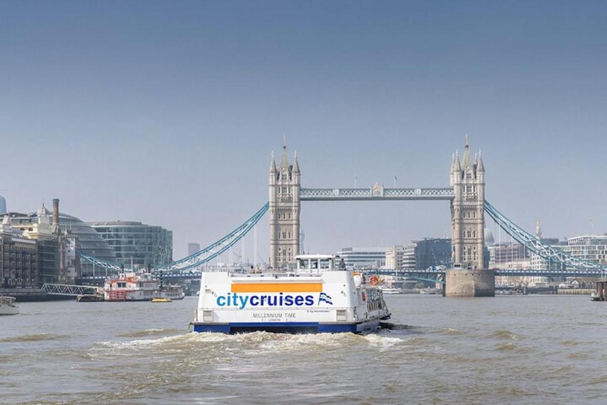 River Thames Sightseeing Cruise