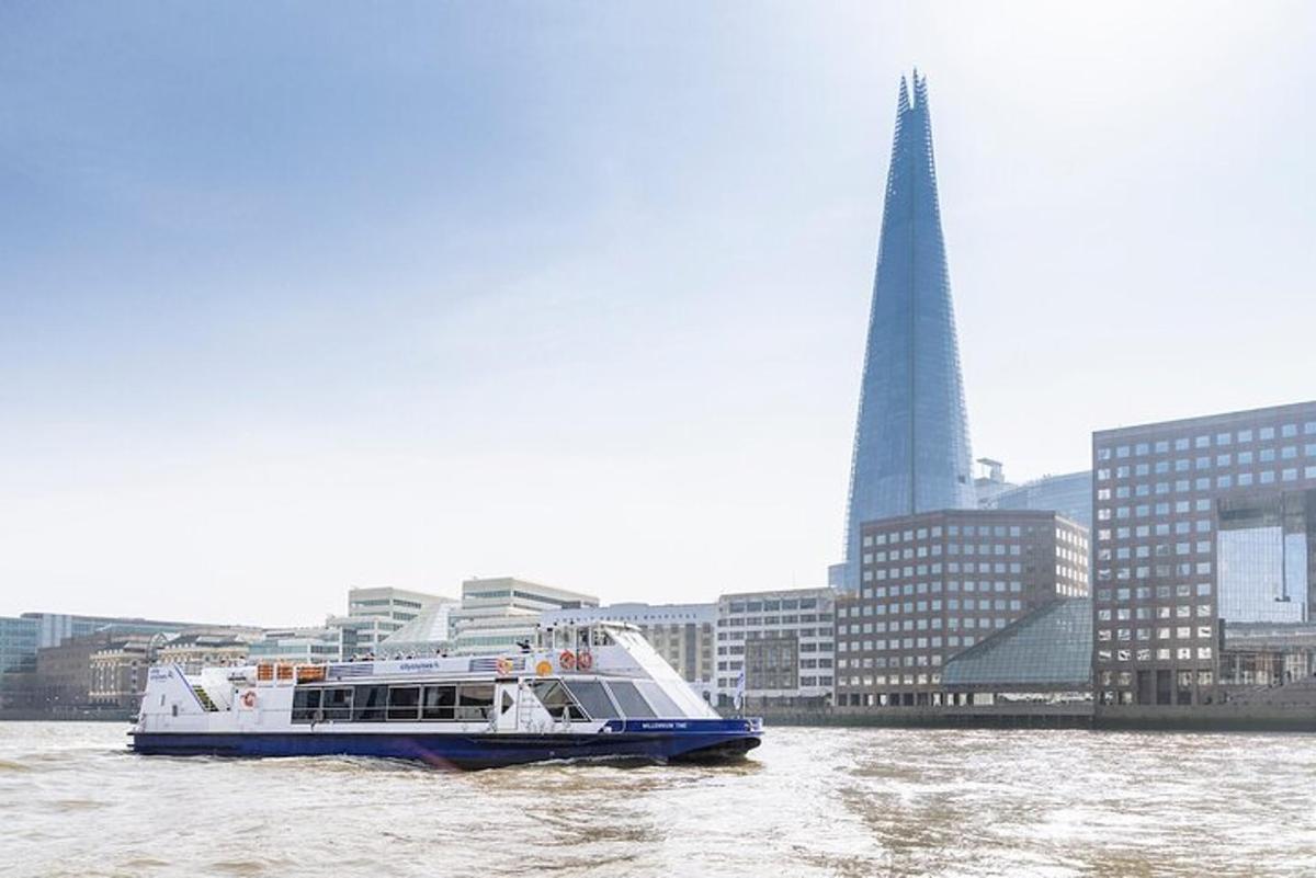 River Thames Sightseeing Cruise