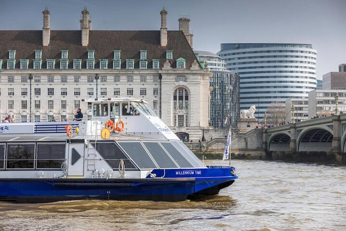 River Thames Sightseeing Cruise
