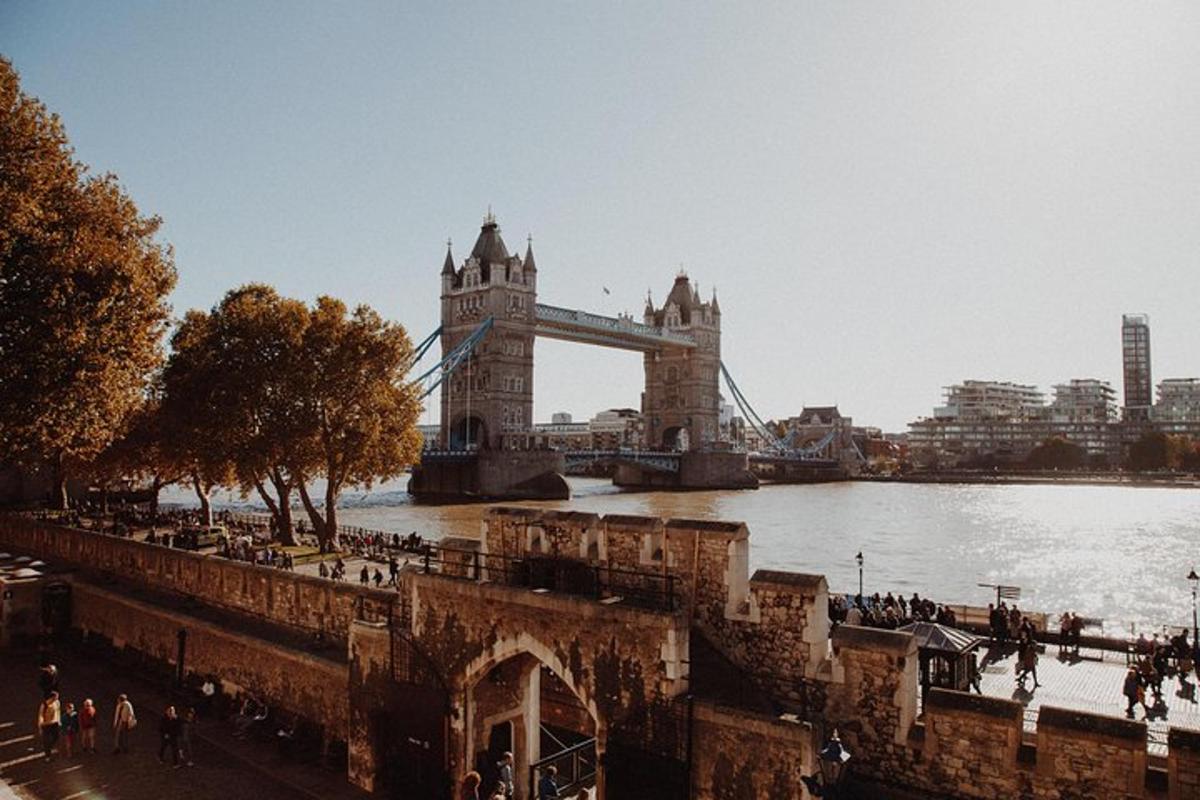Private Tour London Highlights, entries Westminster Abbey, The Tower of London
