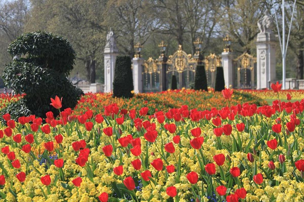 Private Tour London Highlights, entries Westminster Abbey, The Tower of London