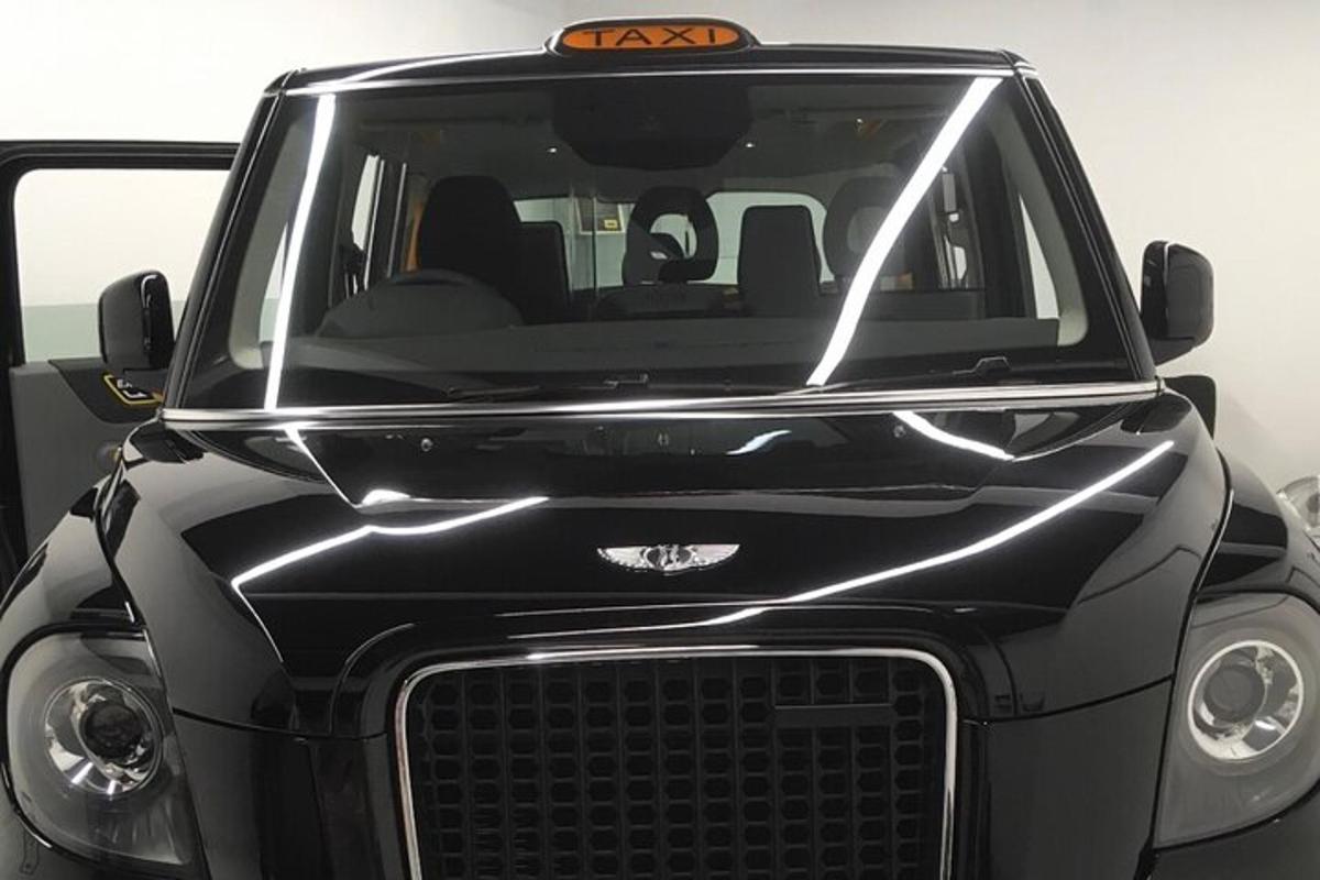 Private London Tours by experienced guide in hybrid London Taxi