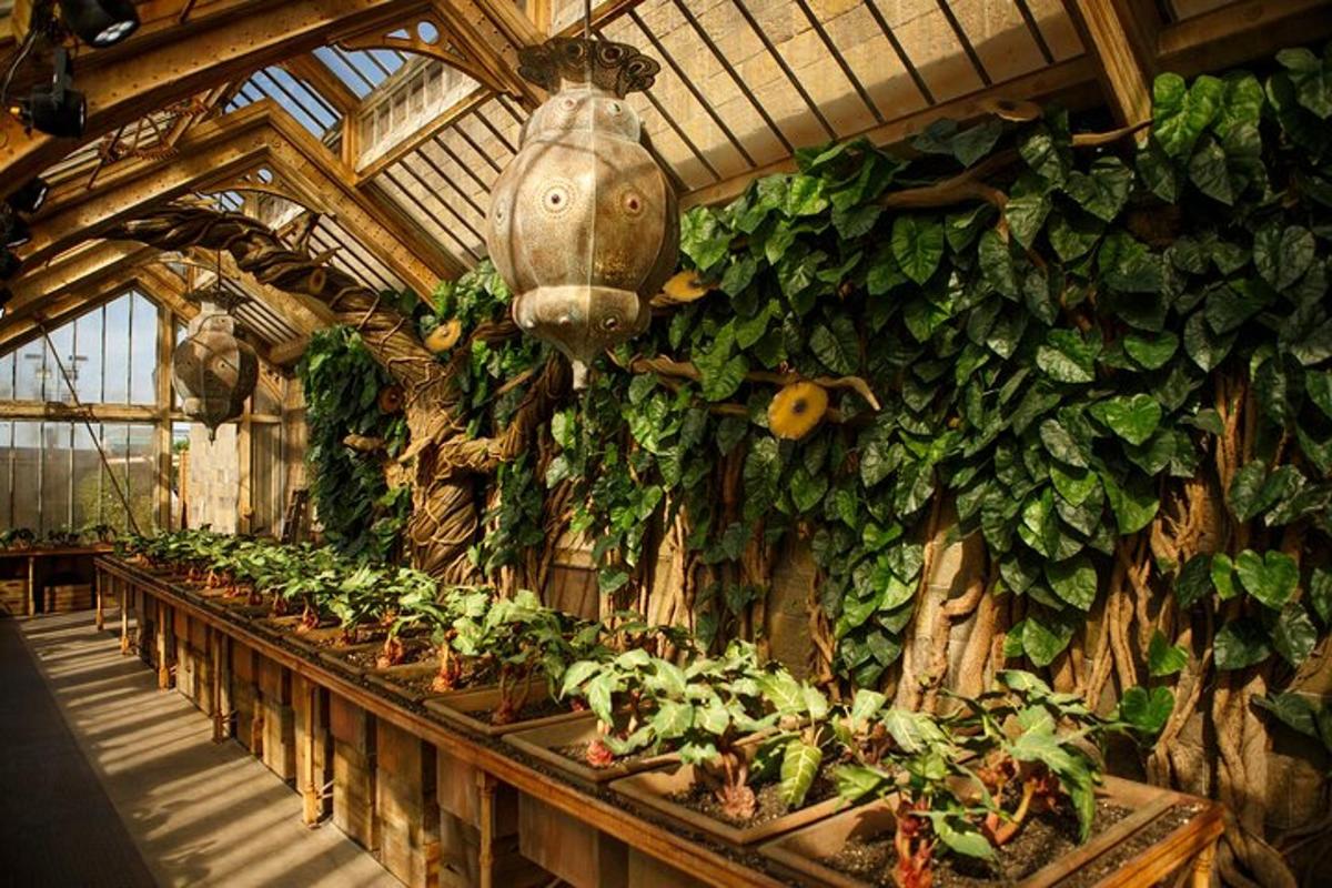 The Making of Harry Potter Warner Bros. Studio Tour & Transfers