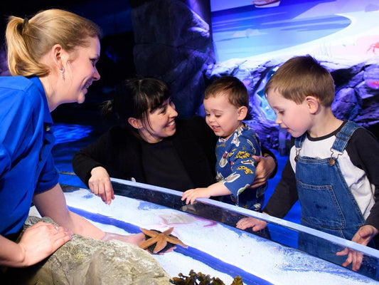 Admission to SEA LIFE London Aquarium