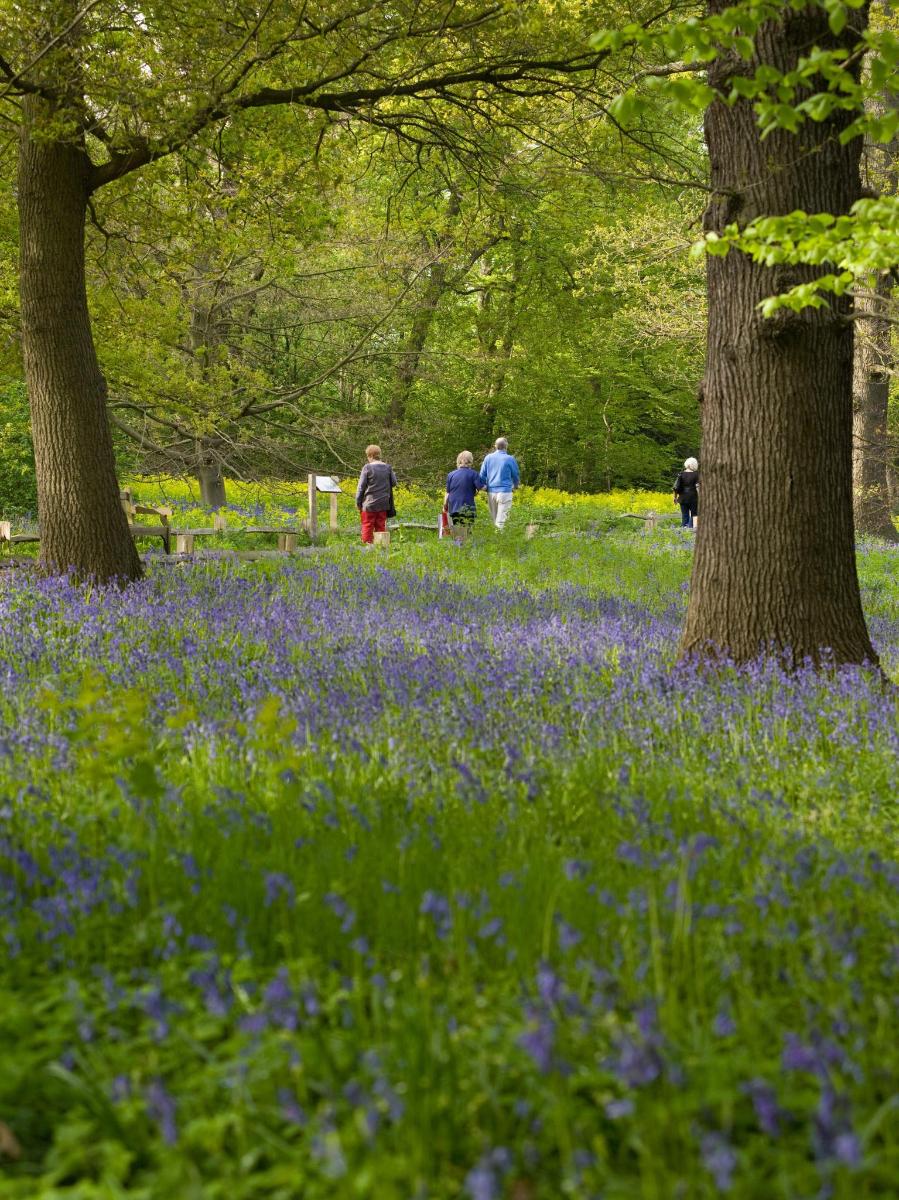 Admission to Kew Gardens