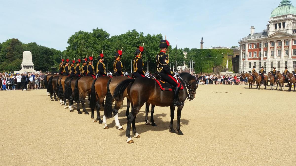Guided Tour of Changing the Guard Ceremony