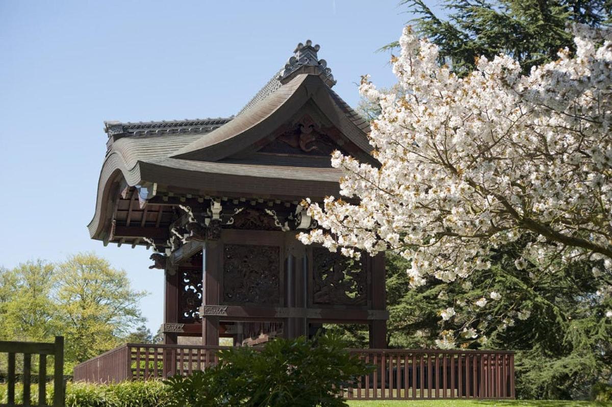 Admission to Kew Gardens