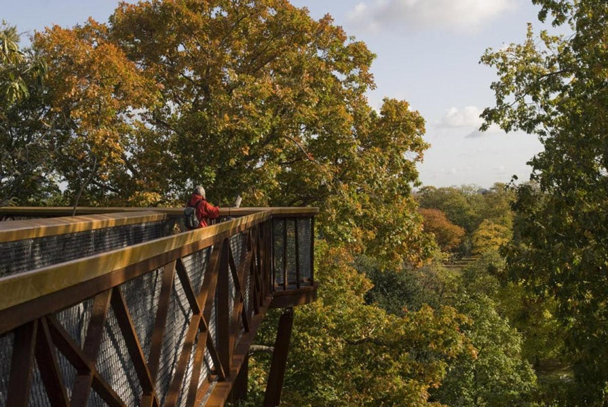 Admission to Kew Gardens