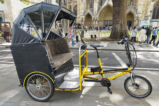Touching Distance LONDON RickshawPedicab Private Tour