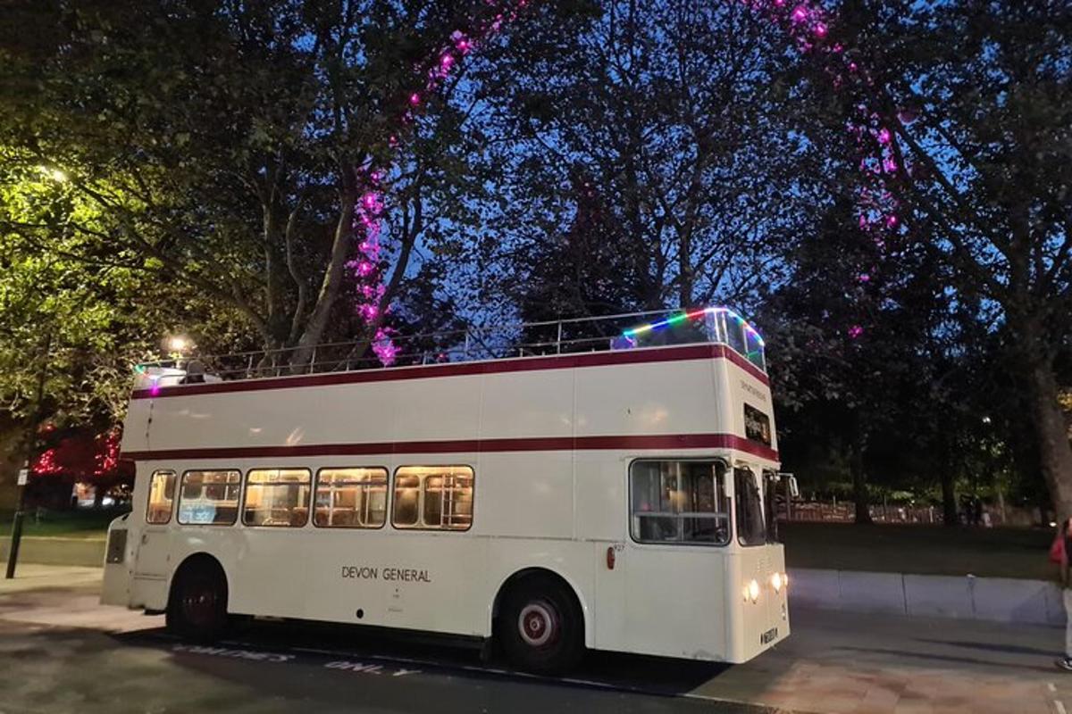 Christmas Lights tour by Heritage bus