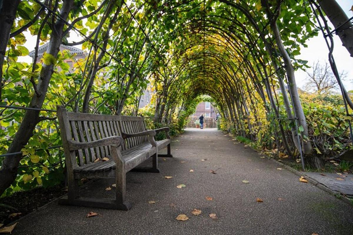 Guided Afternoon Tea, Fast-Track Kensington Palace