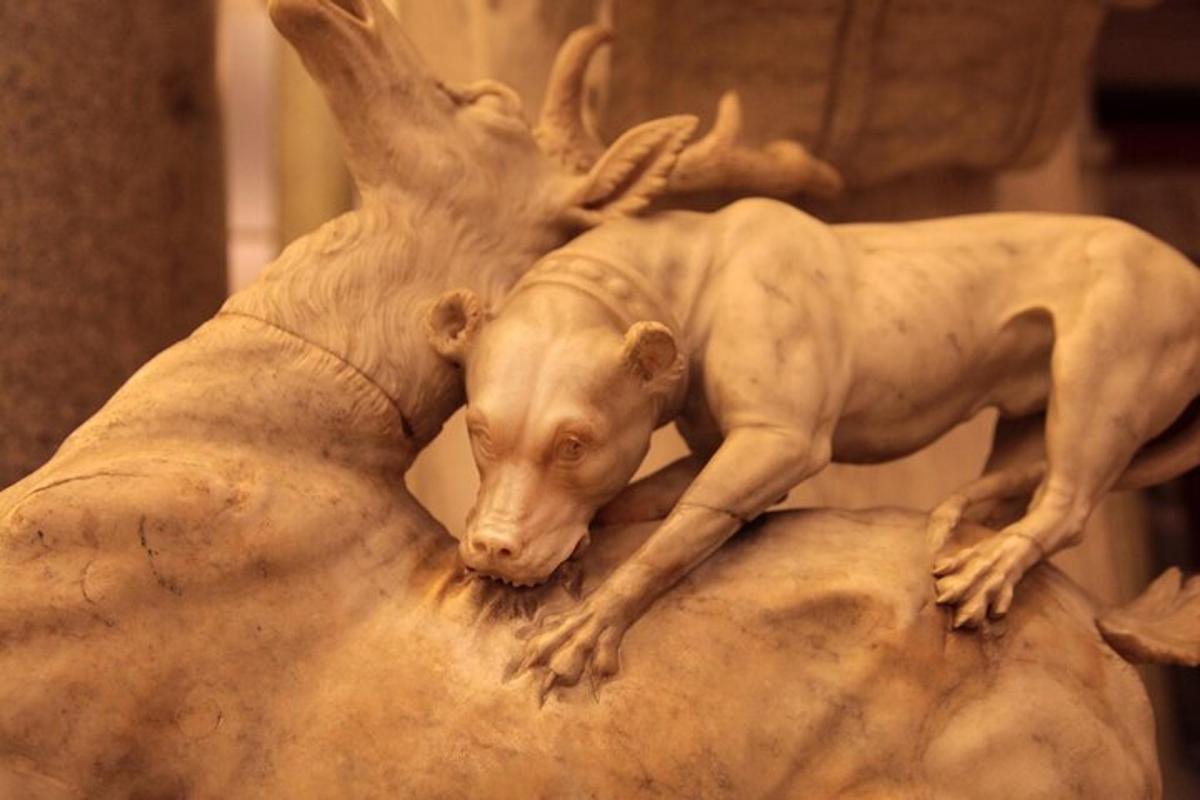 Vatican Museums and Sistine Chapel Admission