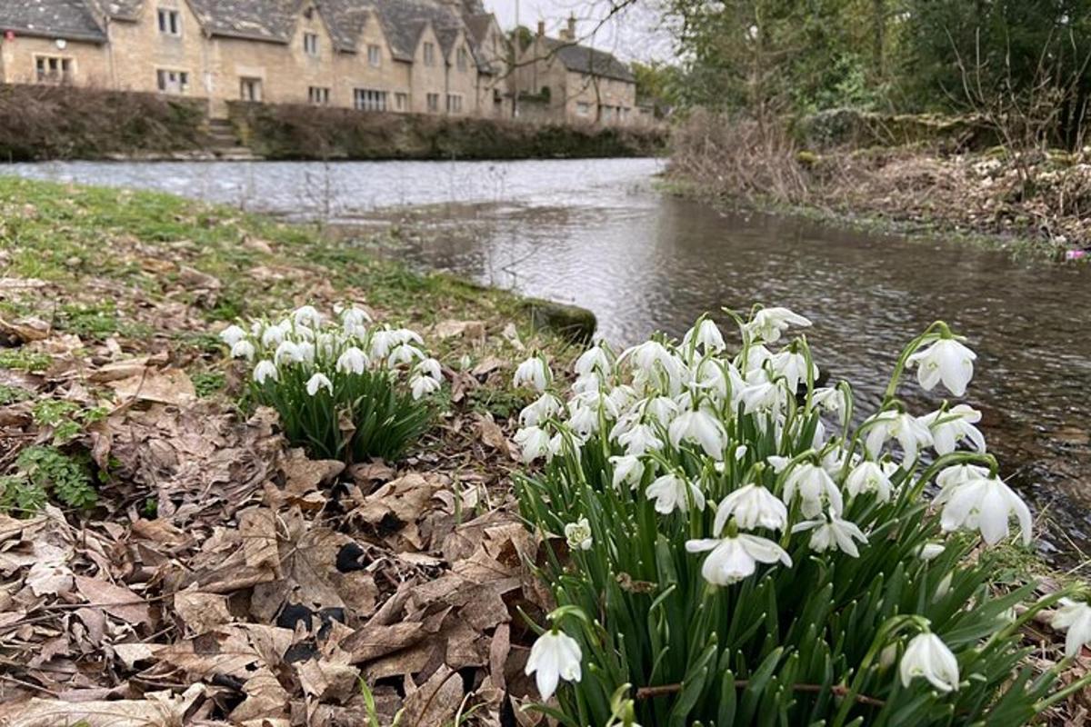 Two-course Cotswolds Lunch and Guided Tour