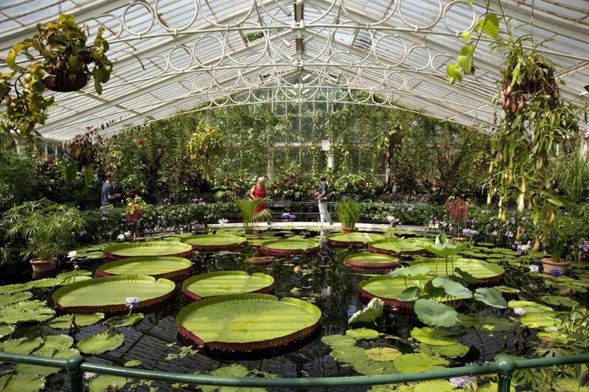 Admission to Kew Gardens